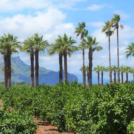 La Giralda 2 Les Marines Apartamento