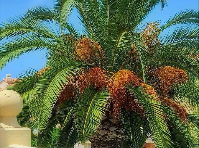 La Giralda 2 Les Marines Dénia
