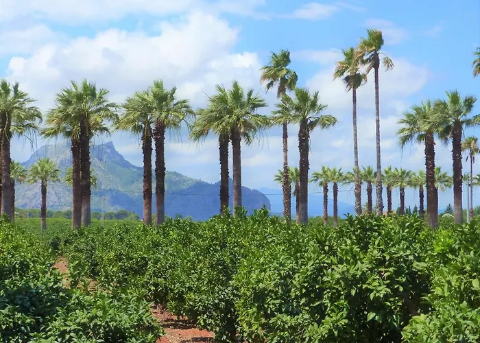 La Giralda 2 Les Marines Apartamento