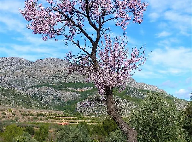 La Giralda 2 Les Marines *