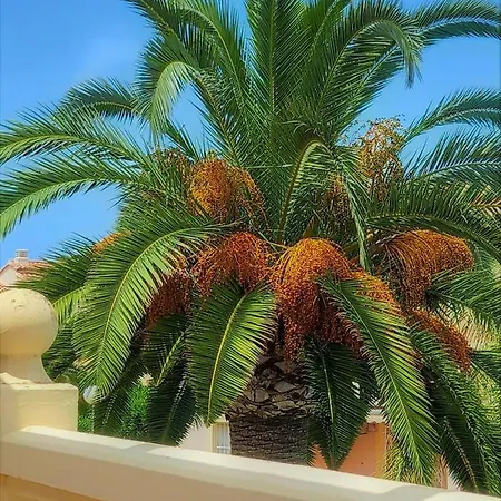 La Giralda 2 Les Marines Dénia