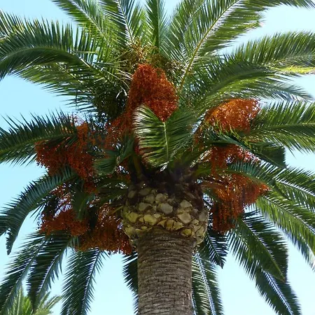La Giralda 2 Les Marines Apartment