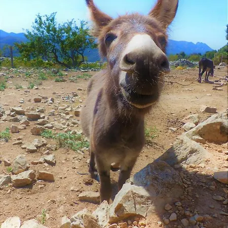 La Giralda 2 Les Marines