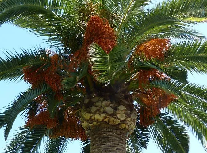 La Giralda 2 Les Marines Apartment
