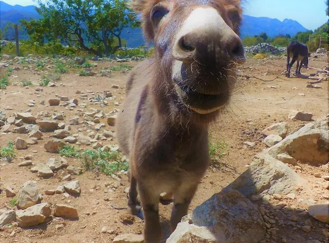 La Giralda 2 Les Marines